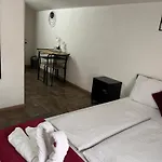 Panda * Maribor