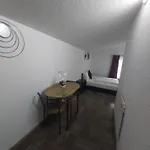 Panda Apartman *