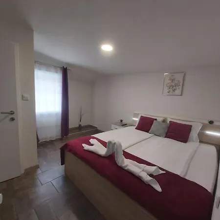 Panda * Maribor