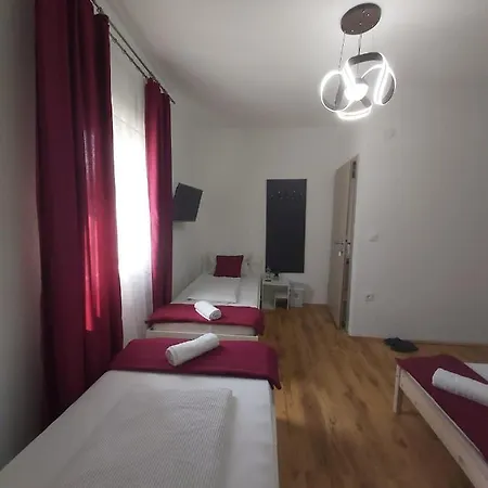 Panda * Maribor