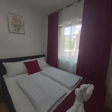 Panda * Maribor