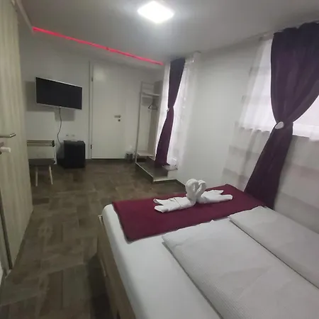 Panda * Maribor