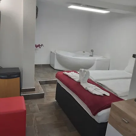 Panda * Maribor