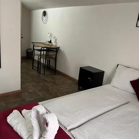 Panda * Maribor