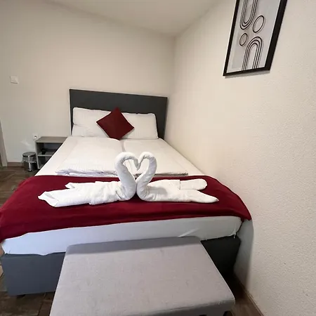 Panda * Maribor